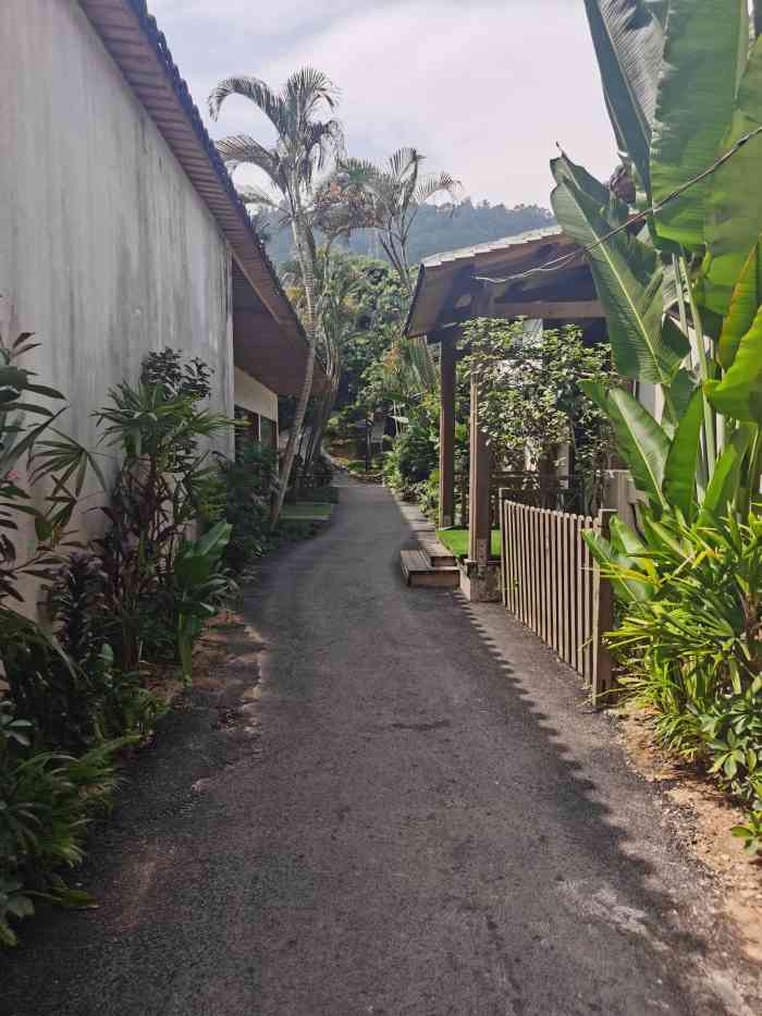 先歌山水山庄(九围店)-"在深圳想找一个远离闹市,环境清幽,有山有.