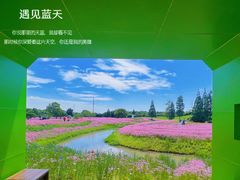 -花开海上生态园