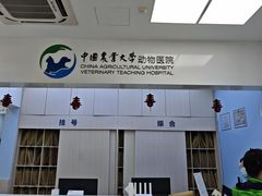 -中国农业大学动物医院
