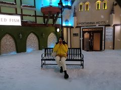 -世界之窗阿尔卑斯冰雪世界