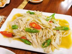 -龙翔山庄雷鸡肉(青城后山泰安古镇店)