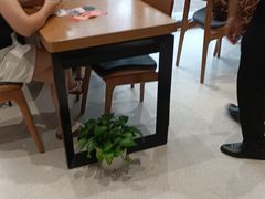 -招商银行(上海九亭支行)