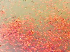 景点-西海子公园
