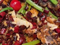 -老板恋上鱼(恒隆广场店)