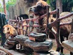 -长鹿旅游休博园