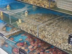 -北戴河庆山饭店·海鲜砂锅粥(北戴河黑石路店)