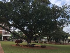 -侯臣咖啡文化村