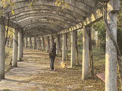 -上海海湾国家森林公园