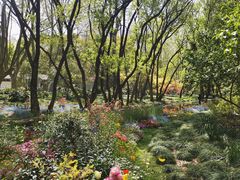 -上海共青森林公园