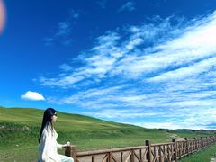 -山丹皇家马场