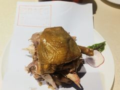 -豫丰汇河南名菜楼(武记餐饮)
