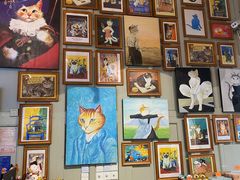 -猫咪博物馆(顶澳仔猫街店)