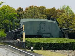 -上海吴淞炮台湾国家湿地公园