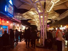 -锦江乐园舞狸花花游园会(夜场专享)