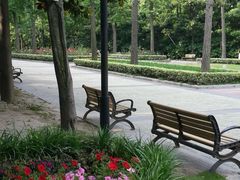 -苏州河梦清园环保主题公园