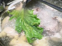 -春润大地海南椰子鸡(沙井京基百纳广场店)