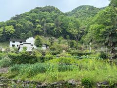 -石台牯牛降景区