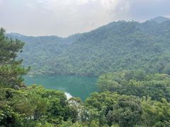 -鼎湖山风景区