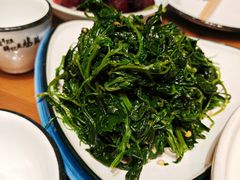 -真定郝家排骨(大十字街店)