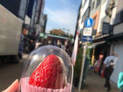 -浅草莓座(あさくさいちござ)