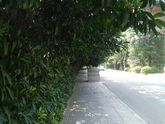 -镇江市南山风景名胜区竹林景区