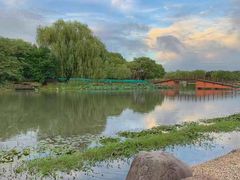 -东方绿舟景区