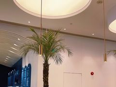 -gaga(金光华店)