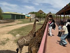 -鄂尔多斯野生动物园