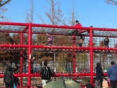 -春花秋色城市公园