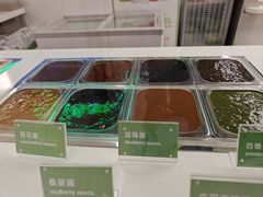 -Salud撒露欧洲冻酸奶(五道口购物中心店)