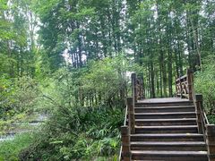 -桤木河湿地公园