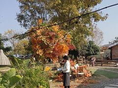 -HERRE·FARM 赫尔露营农场·团建聚会包场