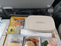 -全日本空输株式会社(上海办事处)