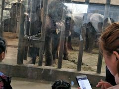 -石家庄市动物园