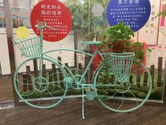 -阿妮亚少儿美术书法(望京店)