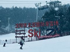 -东北亚滑雪场