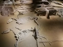 -洛阳周王城天子驾六博物馆