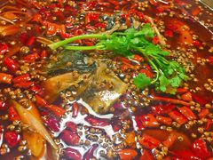 -味之绝热血美蛙鱼火锅(中坝店)
