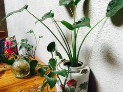 -小洲村