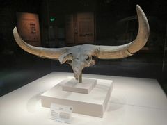 -宁夏博物馆