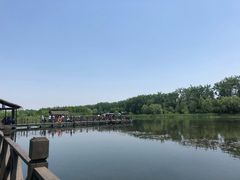 -溱湖国家湿地公园