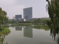 -大兴滨河森林公园