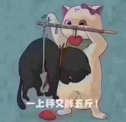 -Lily纤美·科技减脂中心