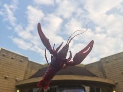 -西苑半岛·中餐厅