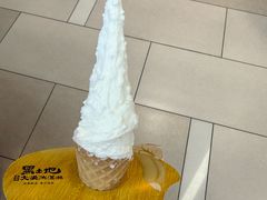 -野人先生现做冰淇淋(北京环宇荟店)