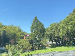 -野蔓果·山野菜(西湖景区·龙井茶田店)