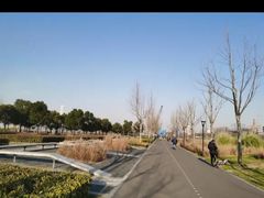 -上海山野camping·户外天幕烧烤·团建拓展营地