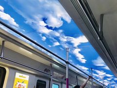 -沈记烧烤海鲜(江汉二路店)
