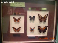 -上海昆虫博物馆