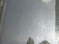 -石燕湖生态旅游景区